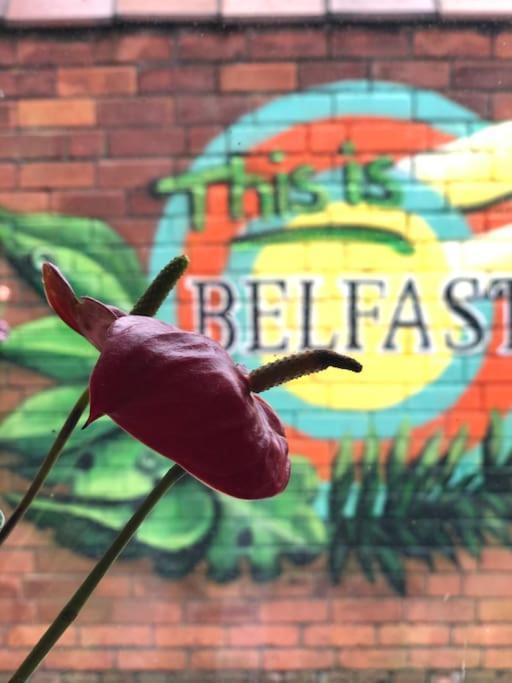 Cosy Two Bed Terraced House 7Min Drive From City Belfast Buitenkant foto